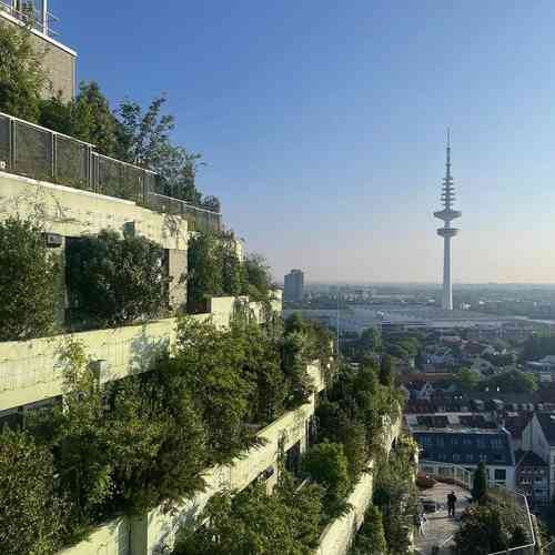 Der Dachgarten des Bunkers von Seite fotografiert. Der Fernsehturm ist im Hintergrund.