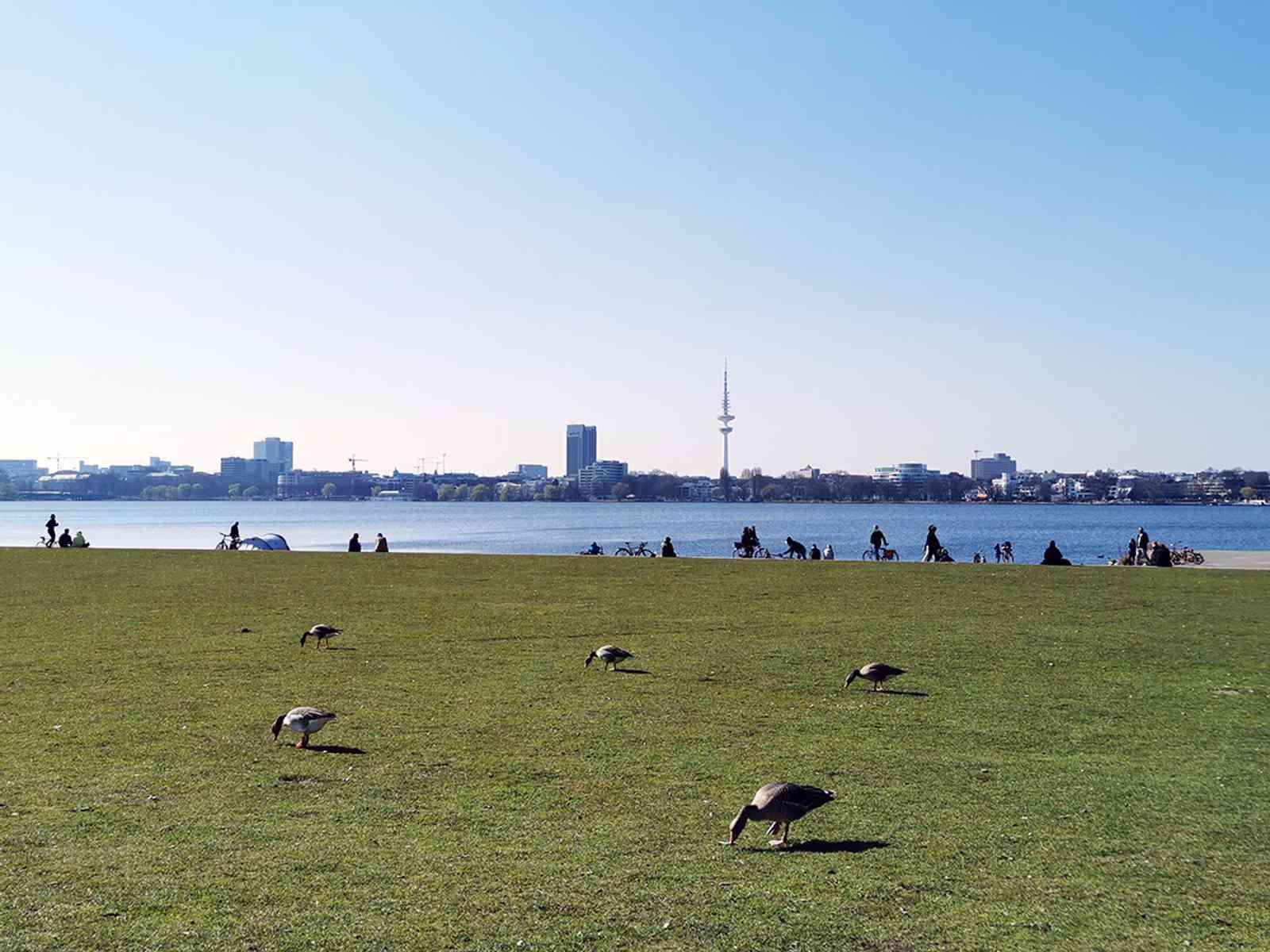 Außenalster Schwanenwiese