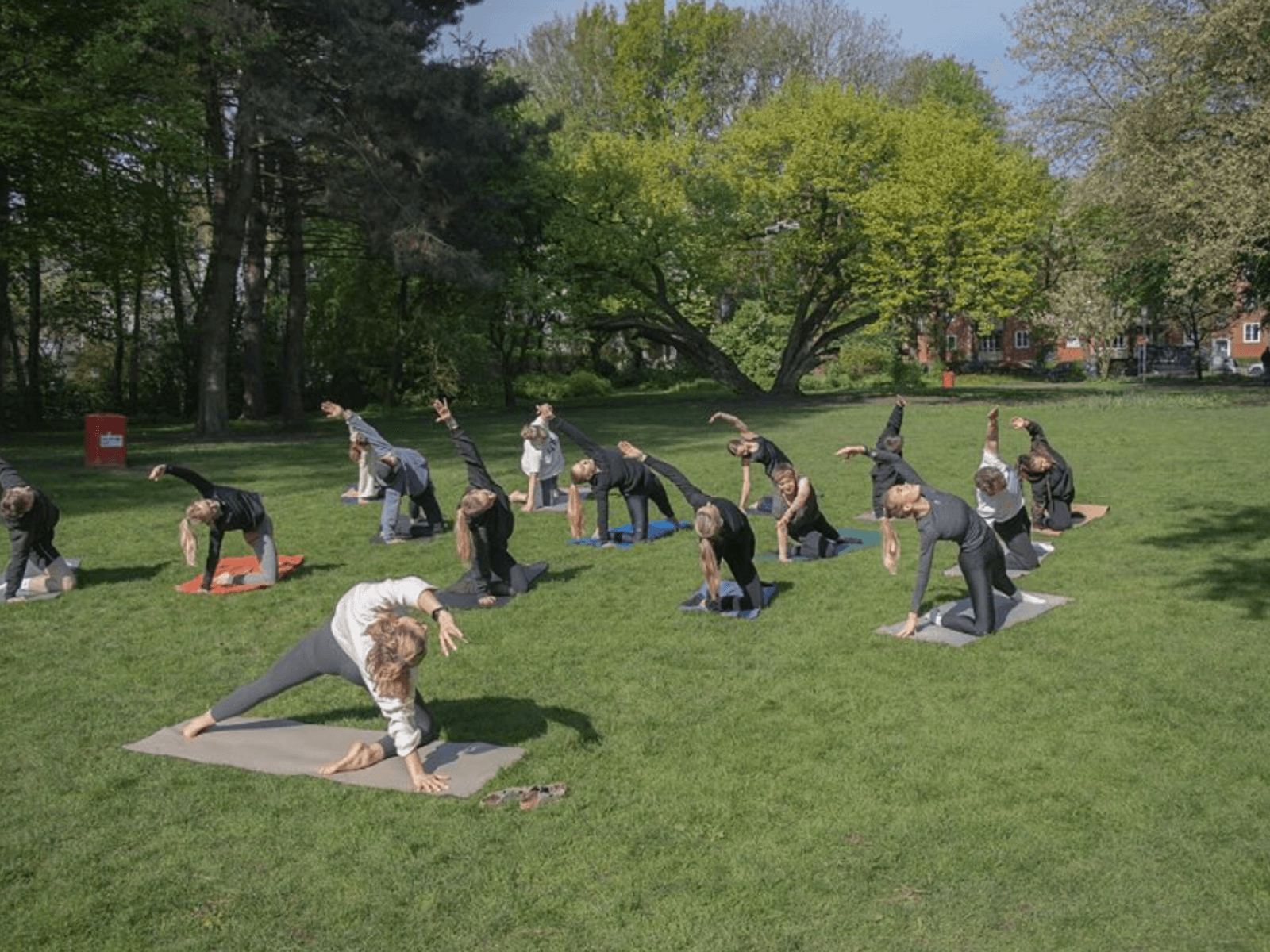 Personen machen Yoga im Park