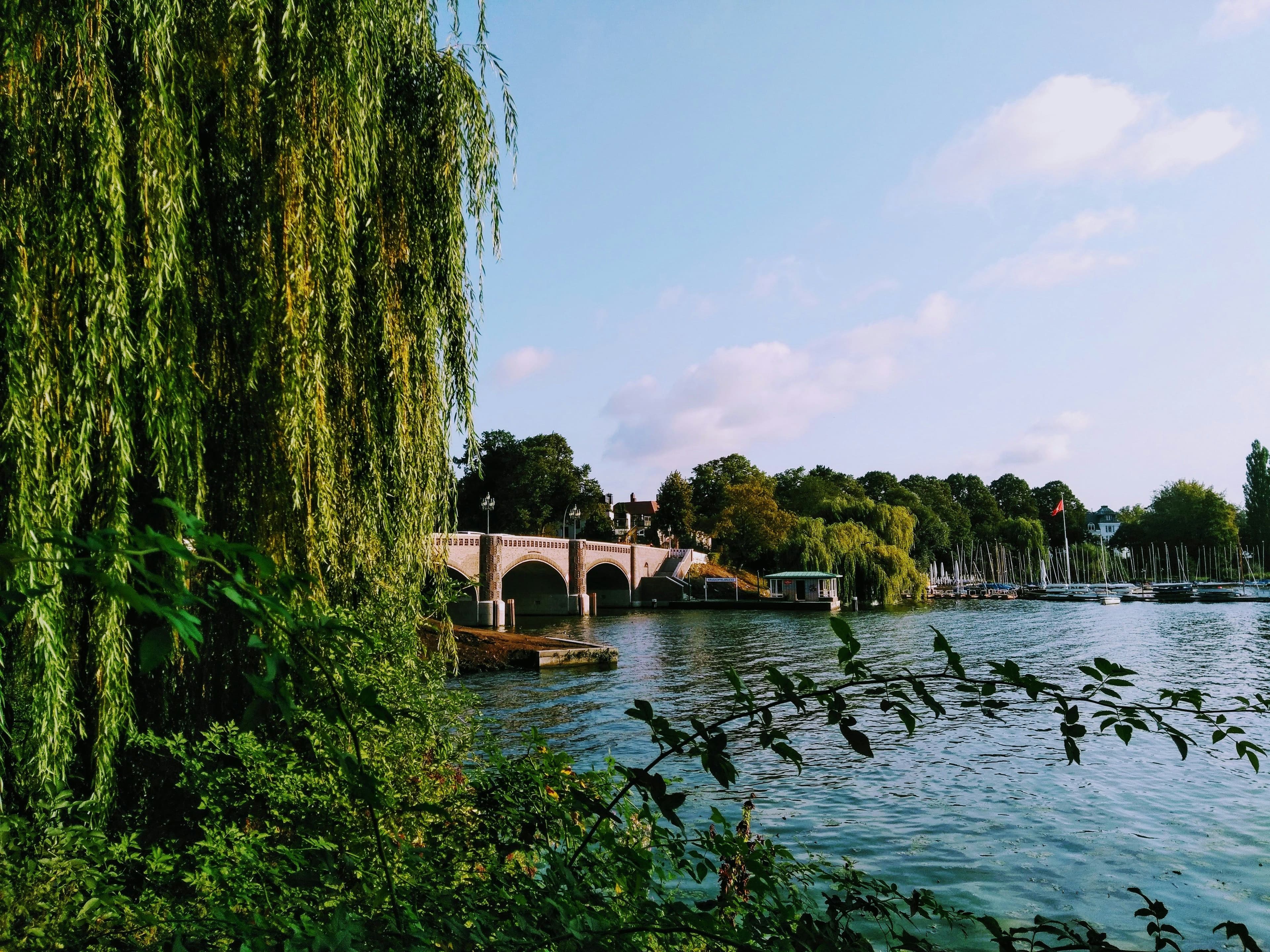 Blick auf Brücke und Wasser am Alsterpark