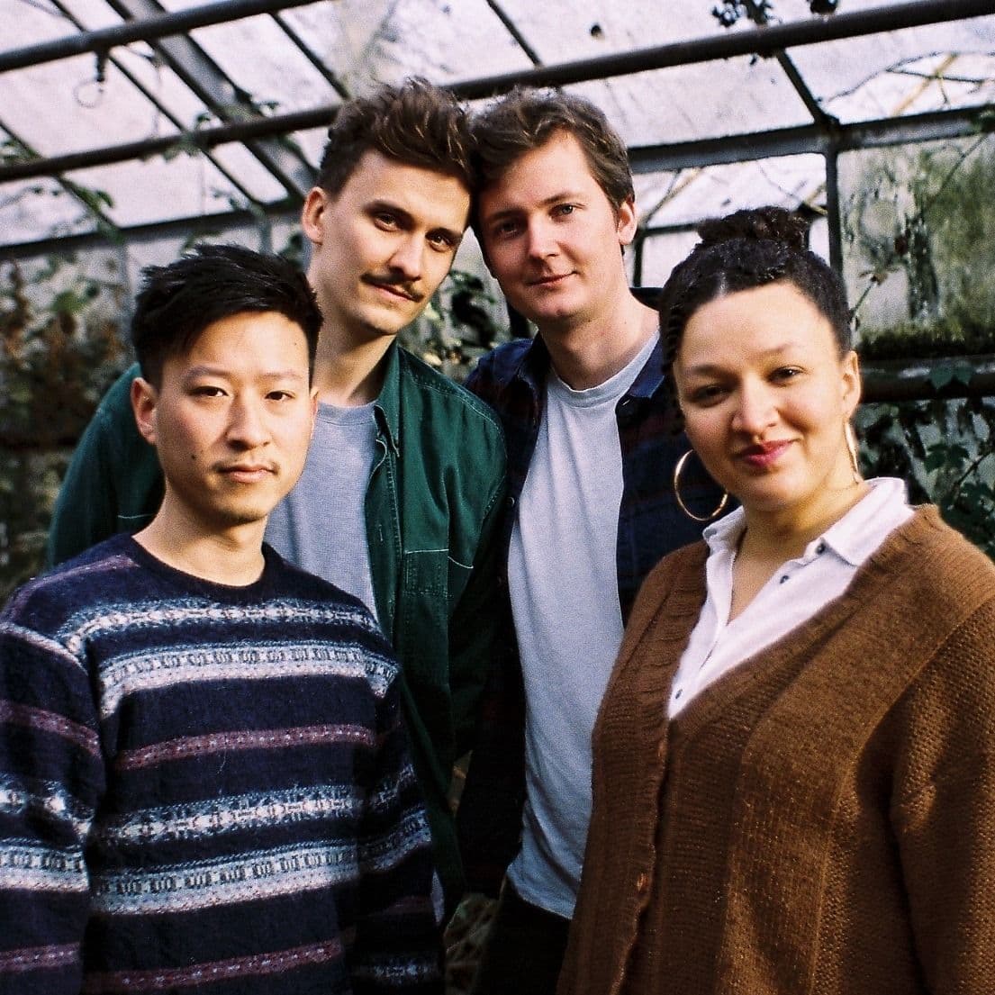 Die vier Mitglieder von Daisy Grow Yellow