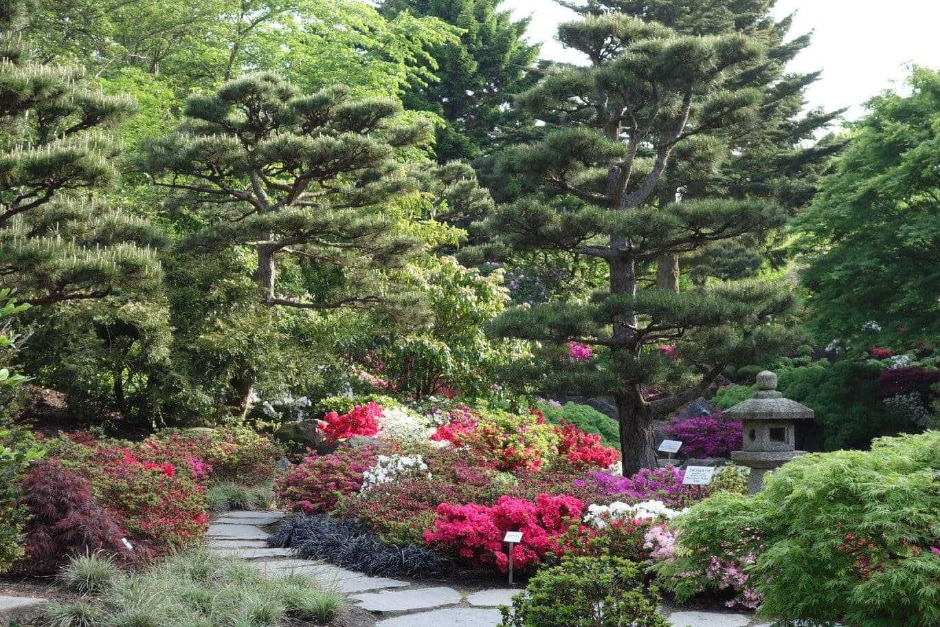 Loki Schmidt Garten