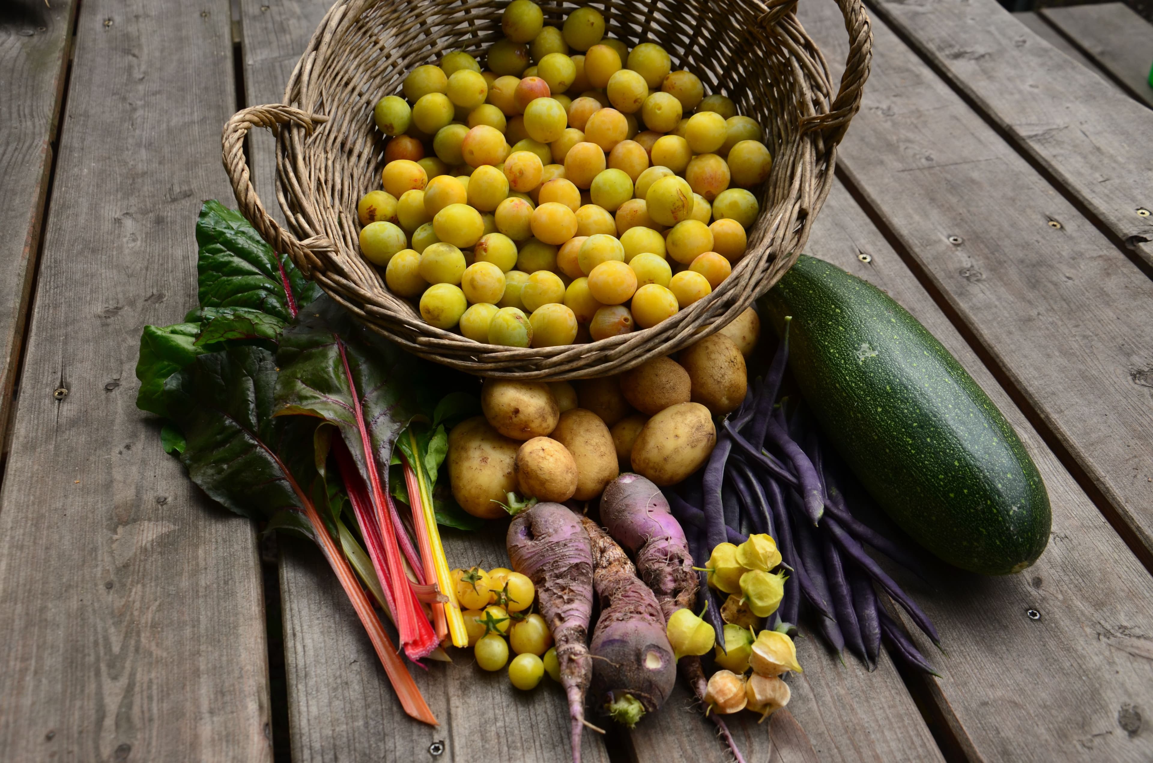 Selbst geerntetes Gemüse aus dem FuhlsGarden