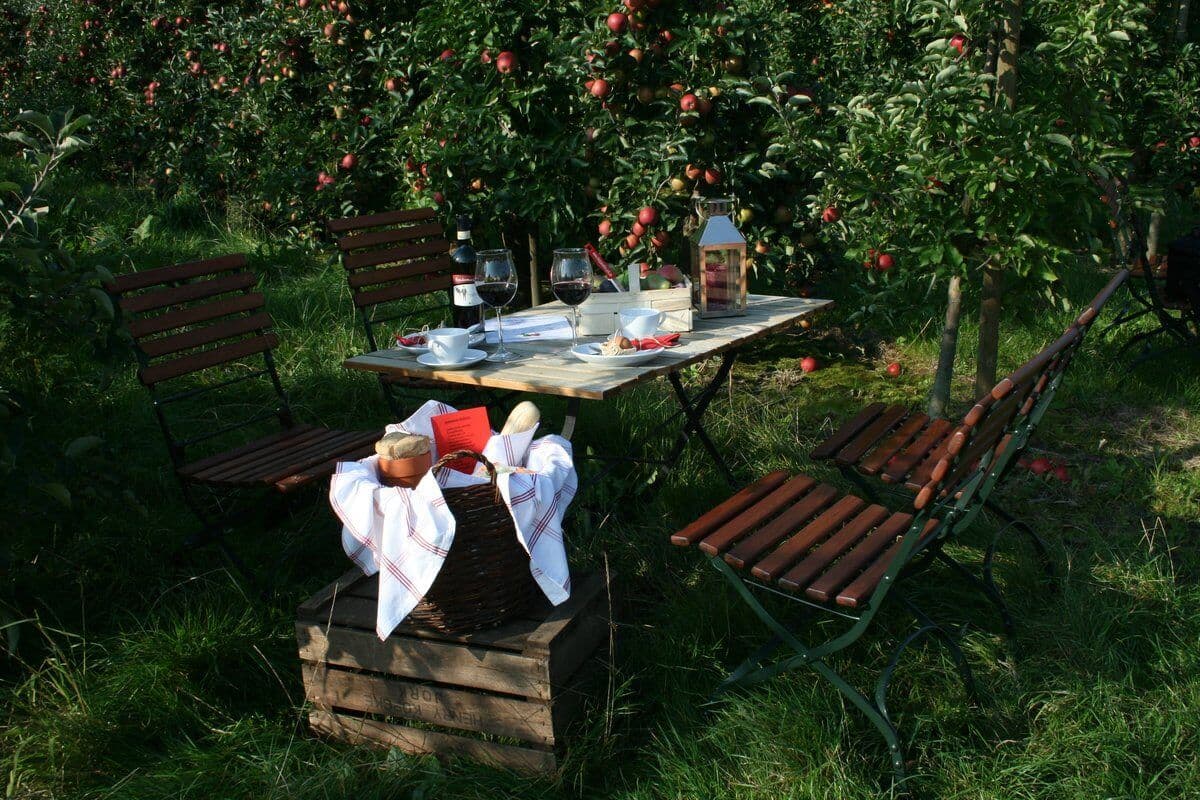 Picknick unter Apfelbäumen im Obstparadies Schuback