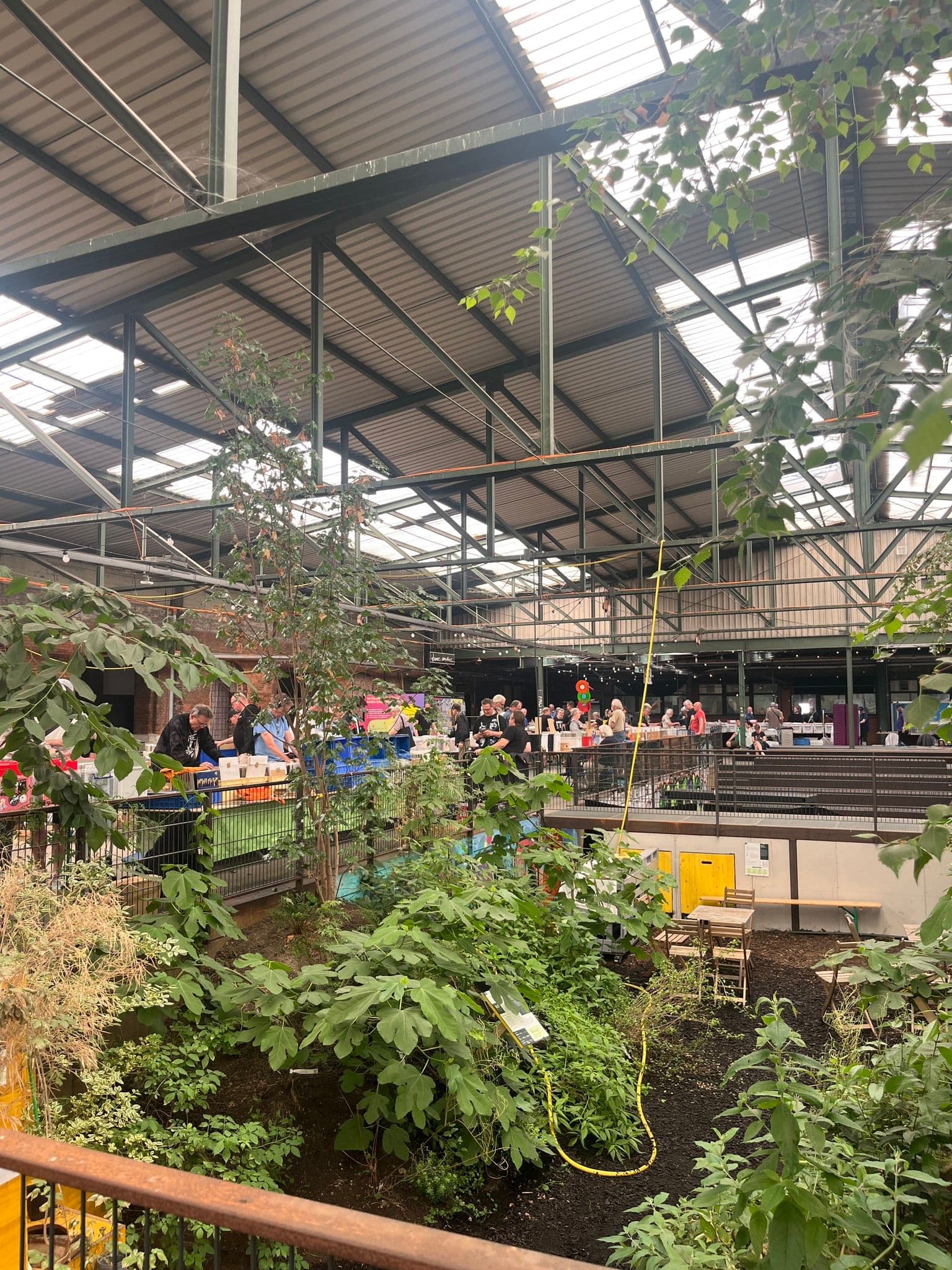 Ein Flohmarkt in einer Industriehalle voller Pflanzen