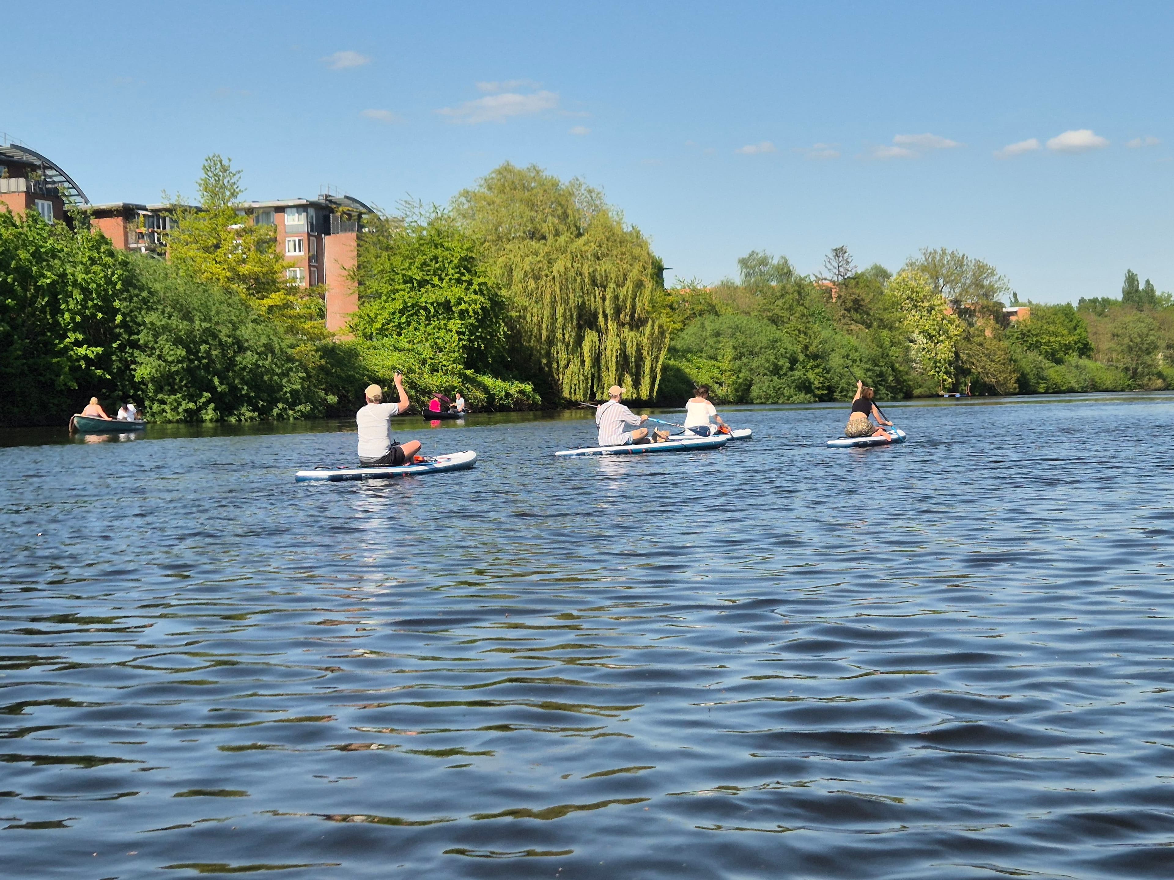 Stand-Up Paddles auf dem Wasser
