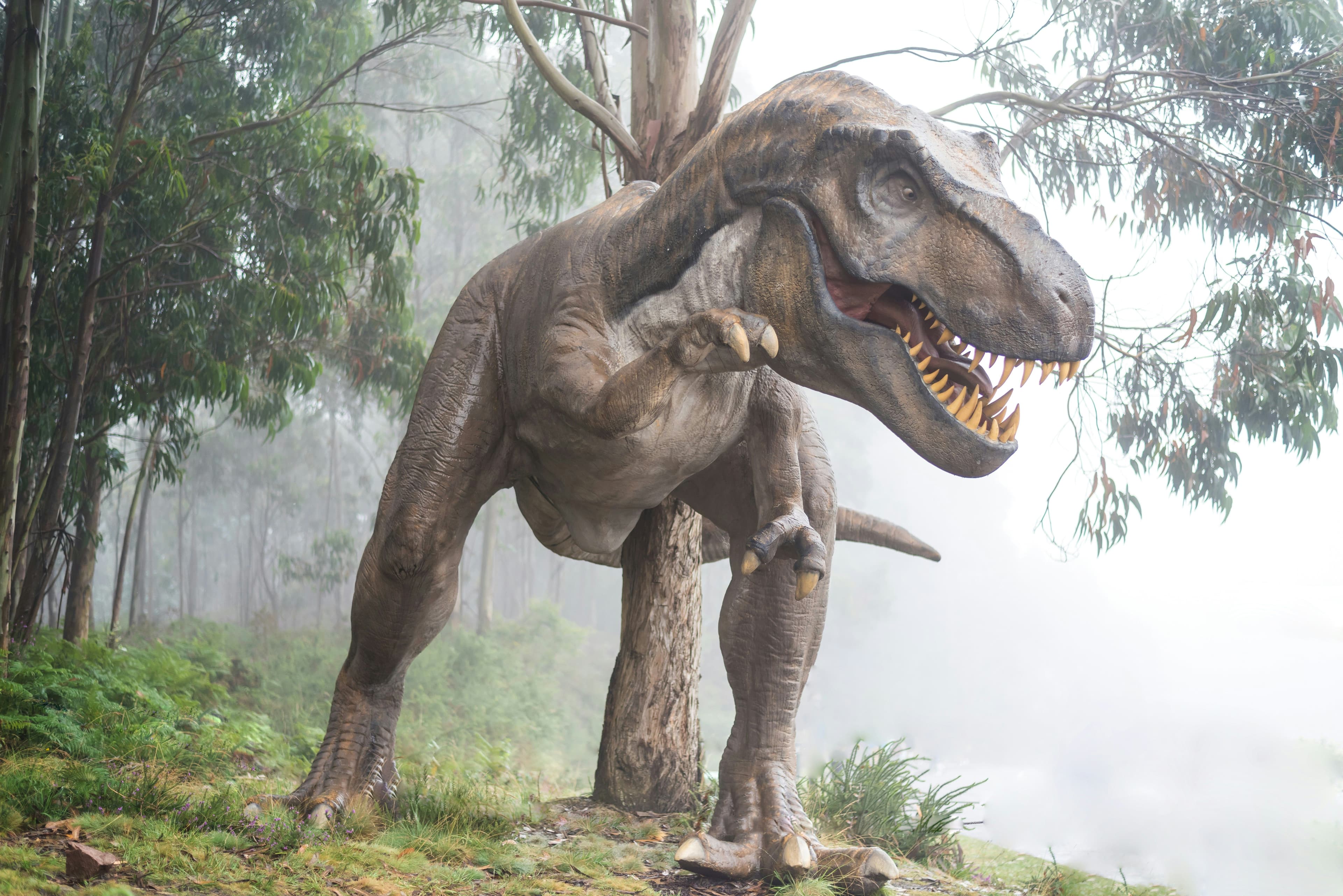 Ein Dinosaurier in der Natur