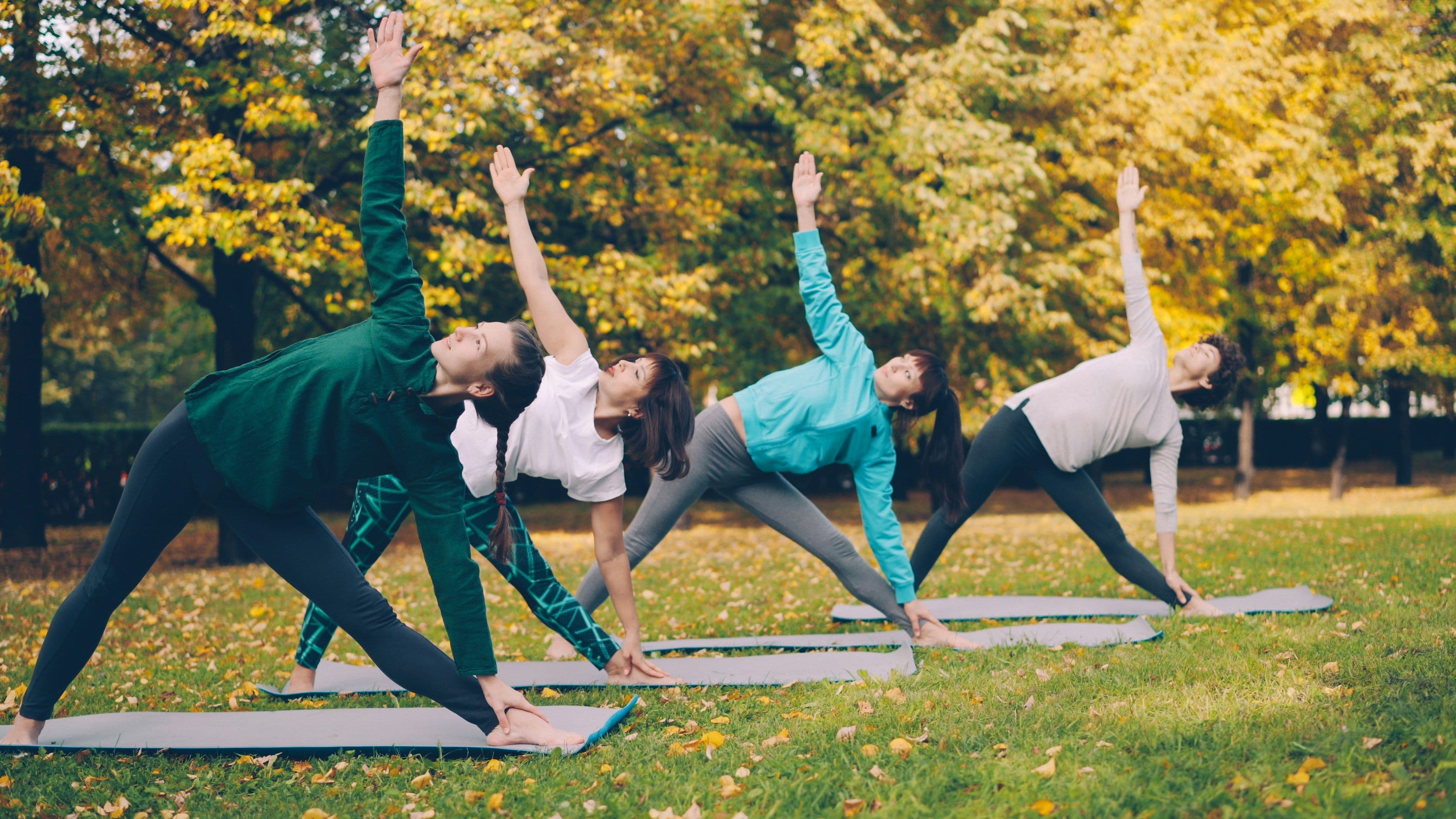 Vier Personen praktizieren Yoga im Park