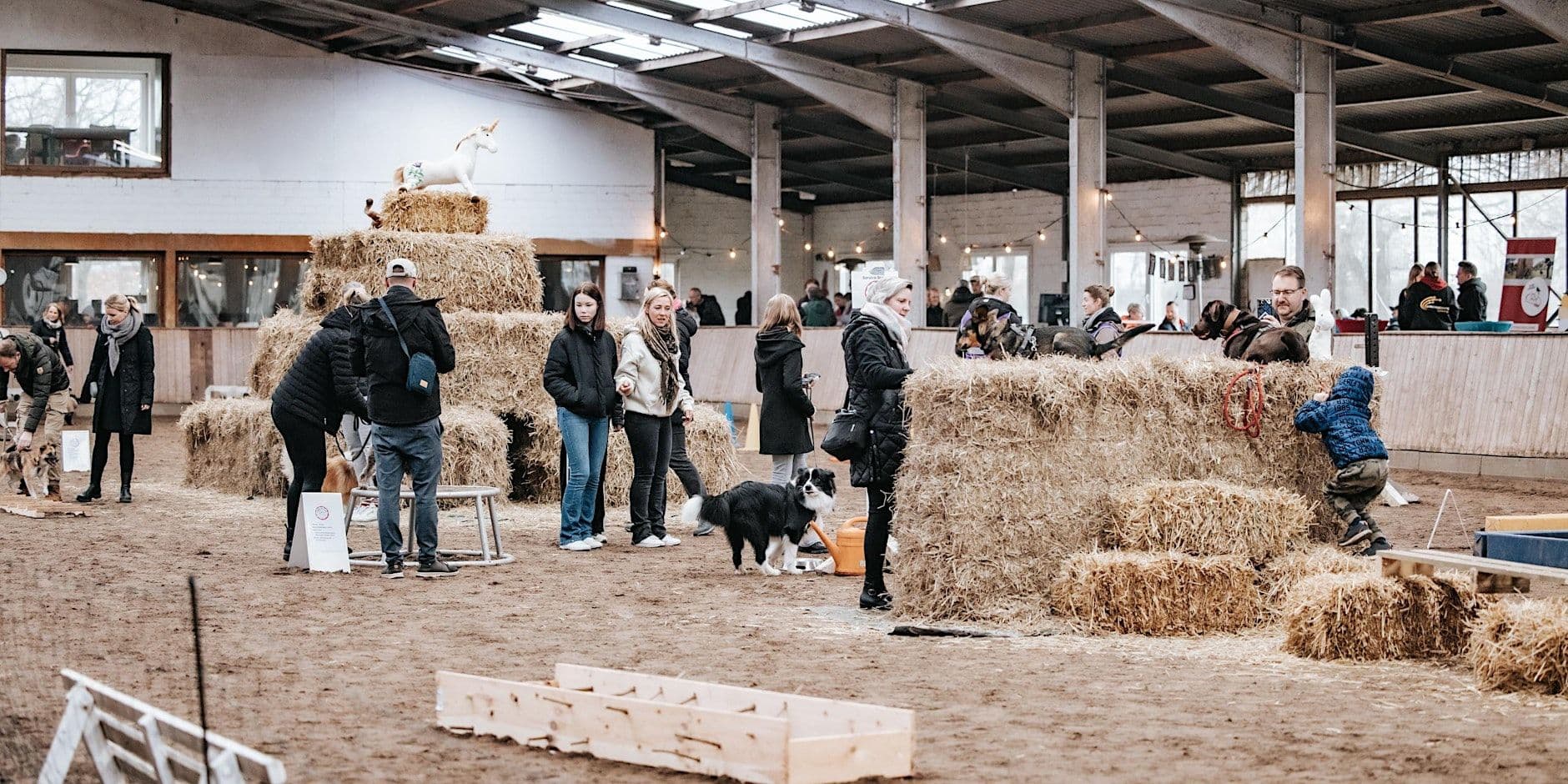 Besucher:innen beim Hundealktivtag