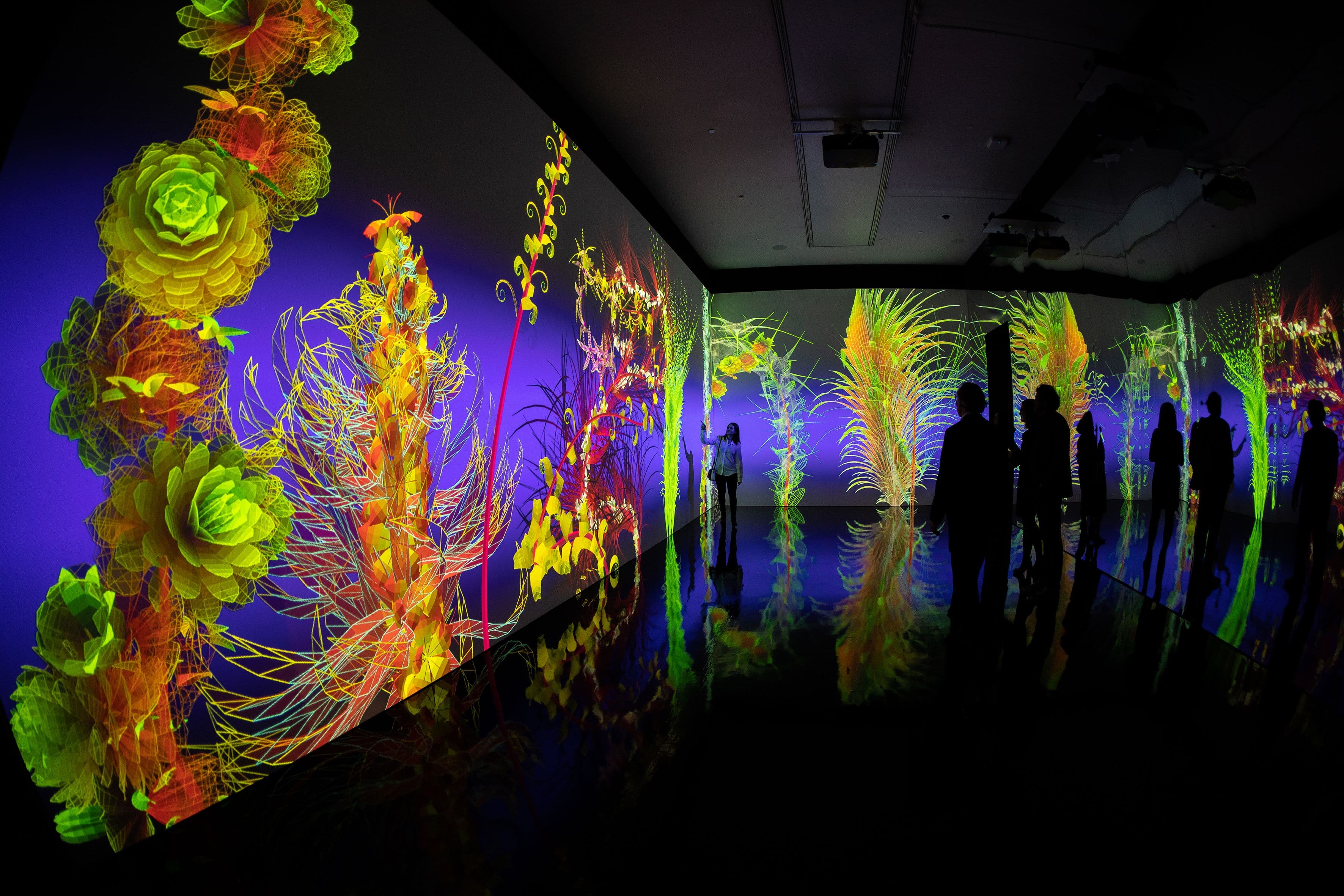 Lebensgroße bunte Blumen-Videoinstallation